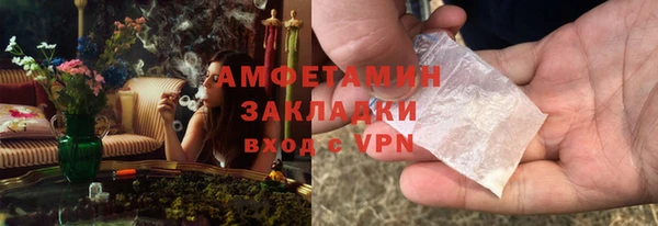 мет Алексин
