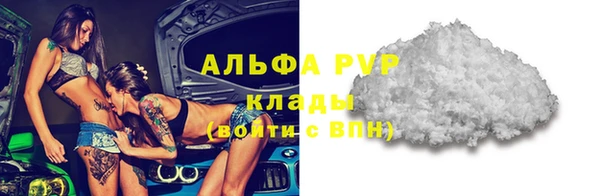 тгк Пересвет