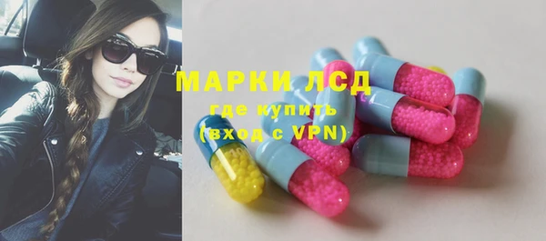 крисы Алзамай