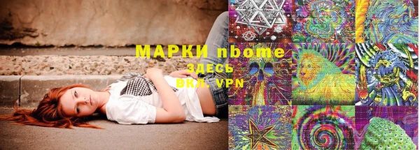 крисы Алзамай