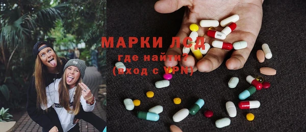 крисы Алзамай