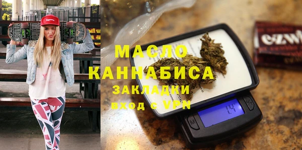 мет Алексин
