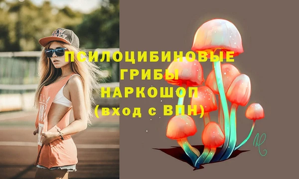 мет Алексин