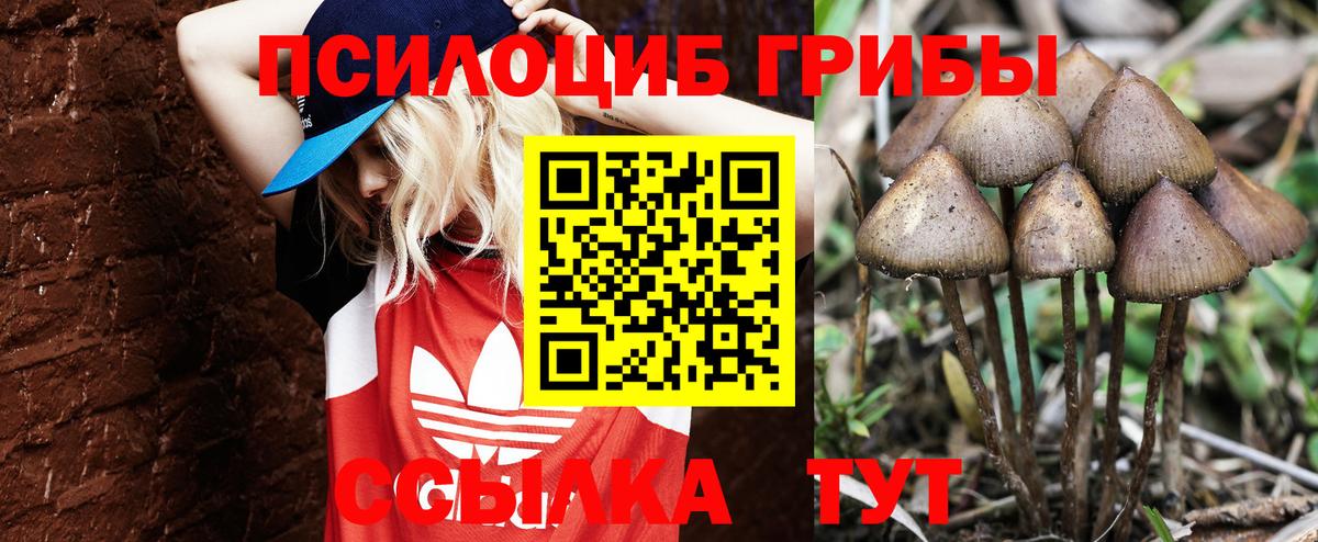 Псилоцибиновые грибы MAGIC MUSHROOMS Урай